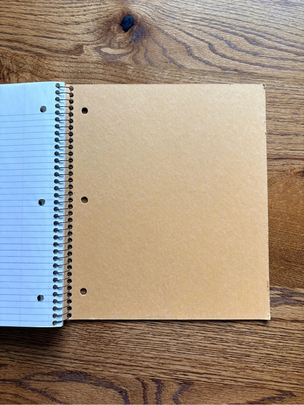 Vintage Princeton Spiral College- Ruled 3 Subject Notebook in Orange- Top Flight